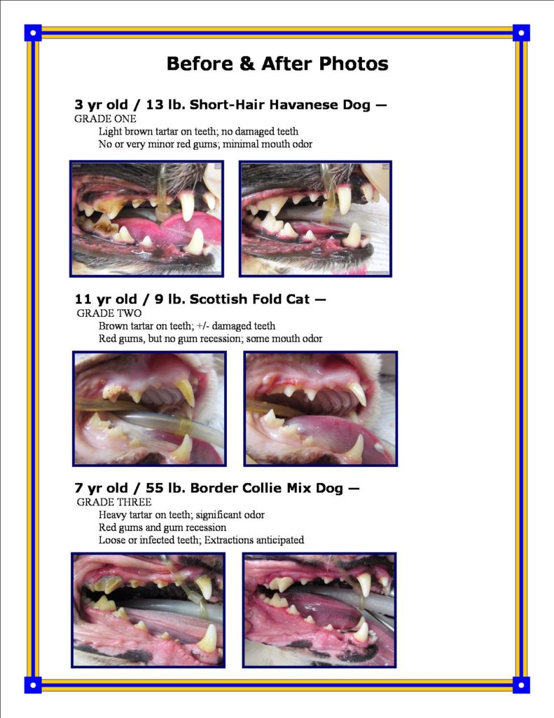 Dental Cleaning Before and After Photos_Page1