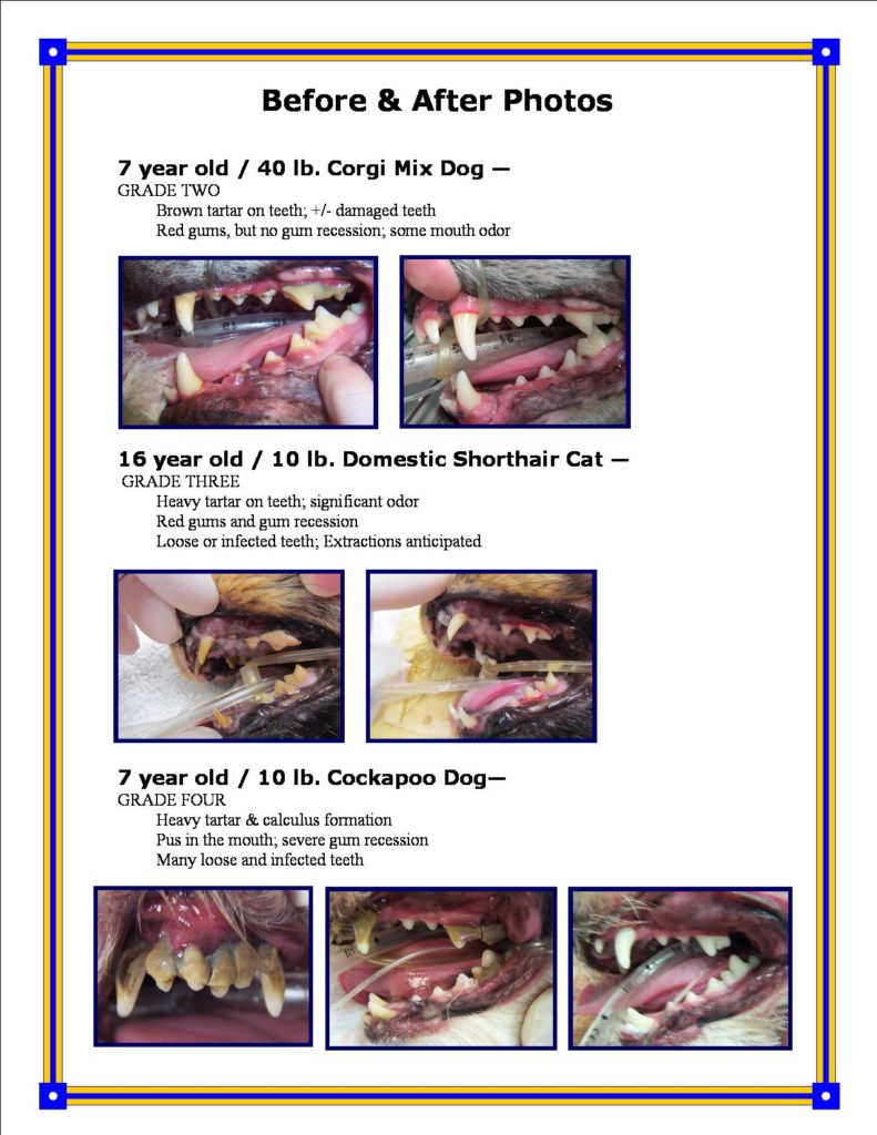 Dental Cleaning Before and After Photos_Page_2